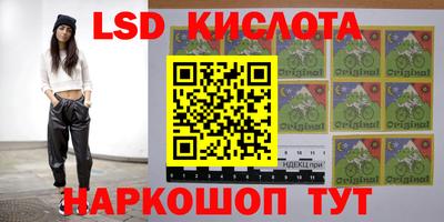 ПСИЛОЦИБИНОВЫЕ ГРИБЫ Свободный