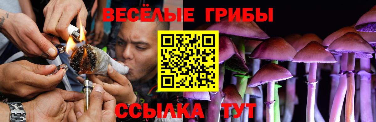 Галлюциногенные грибы Cubensis  Галлюциногенные грибы Psilocybine cubensis  Павлово  где найти наркотики  Вход с VPN 